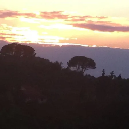 Zoe A Mountaintop Retreat Lejlighed *